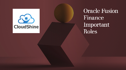 Oracle Fusion Finance  Important Roles